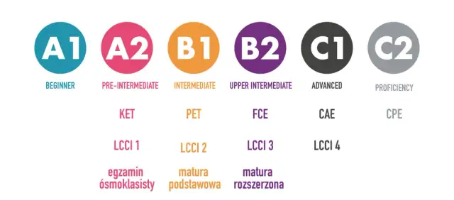 Poziom języka angielskiego po studiach - czy spełniasz wymagania?