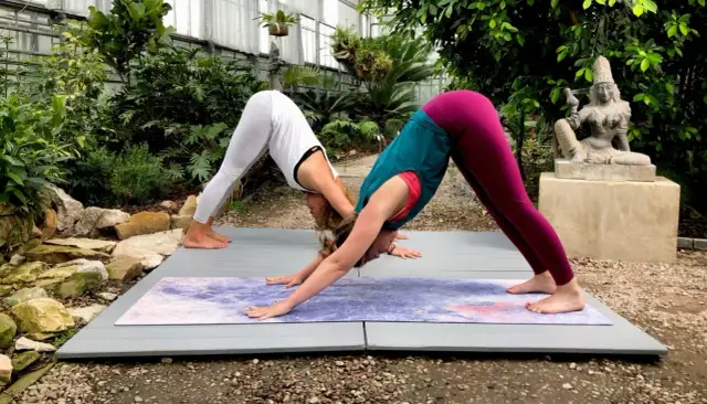 Joga dla początkujących: Praktyczny przewodnik krok po kroku