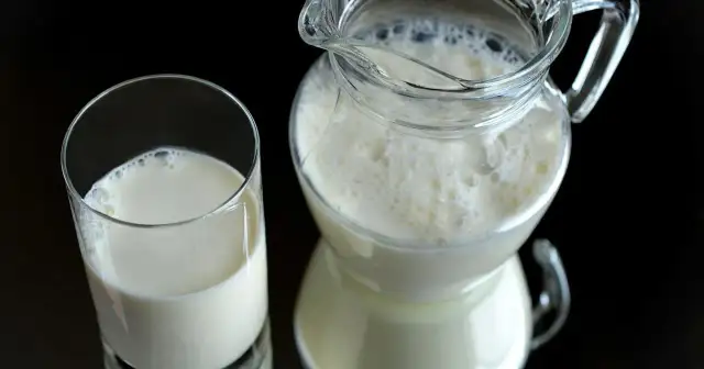 Mleko oślicy: Płynne białe złoto? Poznaj jego moc i zastosowanie