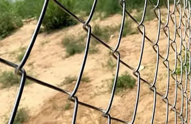 Ile kosztuje metr siatki ogrodowej? Sprawdź ceny i rodzaje siatek