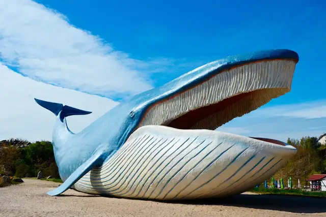 Atrakcje w Pogorzelicy na deszcz, które umilą każdy dzień