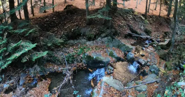 Rezerwat przyrody Madohora - unikalne walory i atrakcje natury