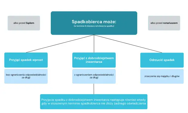 Schemat pokazuje, że spadkobierca może przyjąć spadek, przyjąć z dobrodziejstwem inwentarza lub odrzucić spadek. Odrzucenie spadku to jedna z opcji, gdy kolejność dziedziczenia jest niekorzystna.