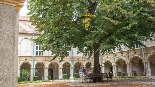 Najlepsze atrakcje w Krapkowicach, które musisz zobaczyć podczas wizyty