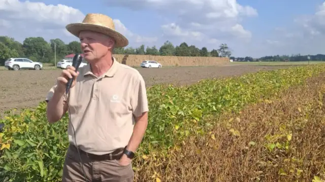 Dopłaty do soi: Jakie są najnowsze zmiany i co warto wiedzieć?