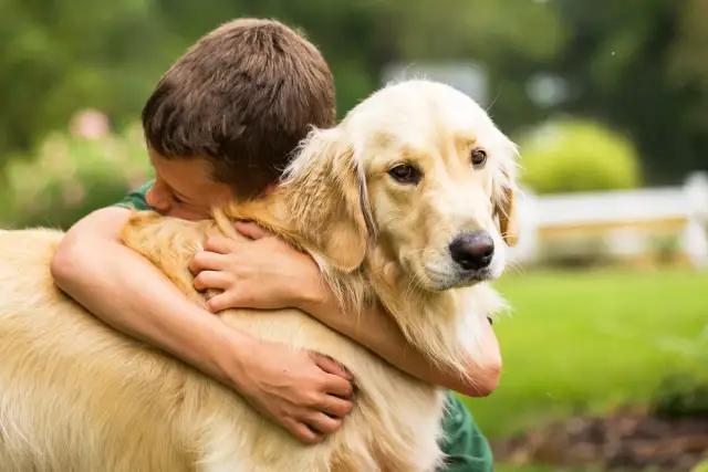Jakie psy dla dziecka? Najlepsze rasy, które pokochają Twoje dzieci