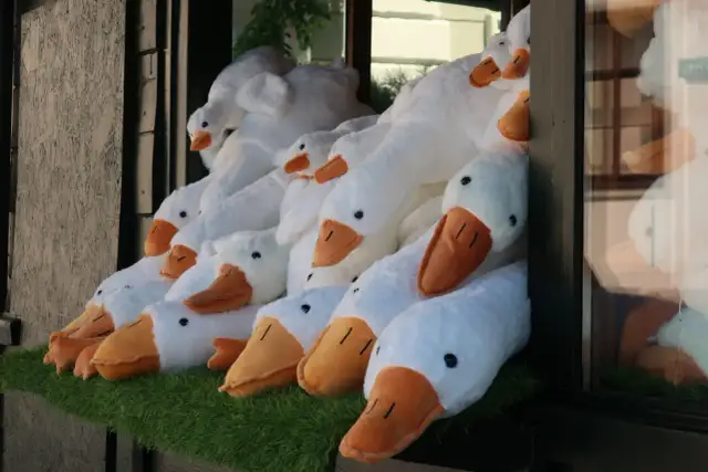 Skąd moda na pluszowe gęsi? Historia Pipy i jej wpływ na trendy