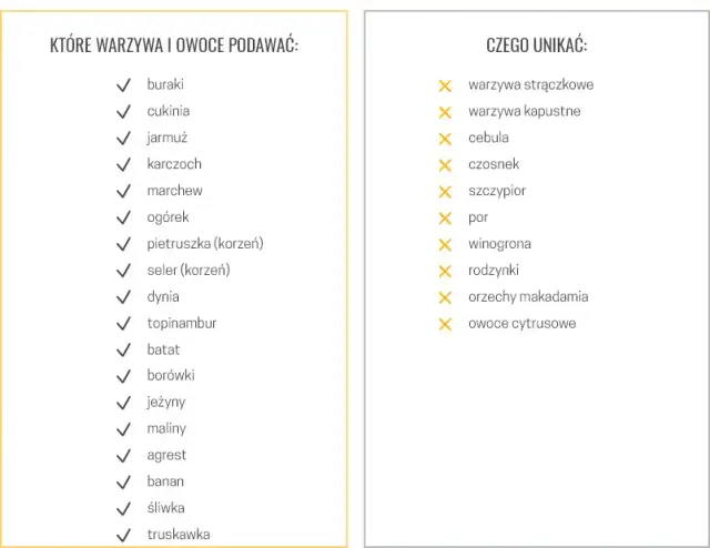 Gotowana karma dla psa: Przepis, składniki i jak bilansować?