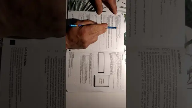 Jak wypełnić oświadczenie kierowcy? Poradnik krok po kroku