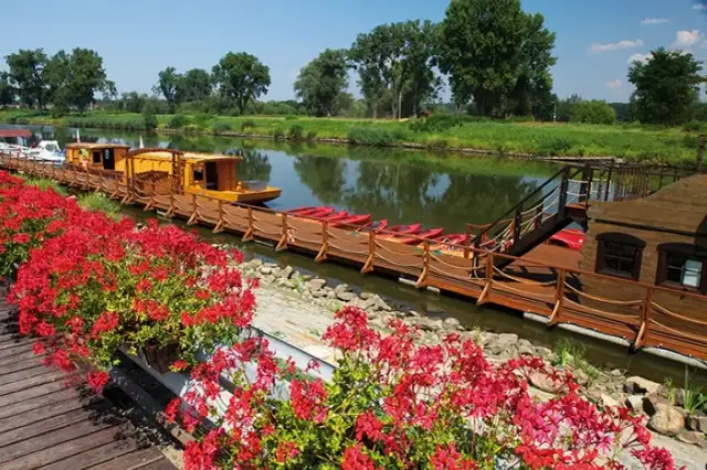 Najciekawsze atrakcje Oławy, które musisz zobaczyć podczas wizyty