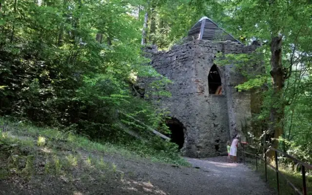 Rezerwat przyrody Jeziorko Daisy: unikalne atrakcje i historia