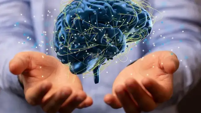 Uszkodzenie nerwów czaszkowych objawy – co warto wiedzieć, by nie przegapić?