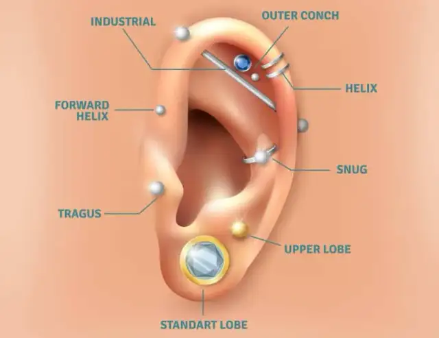 Mapa przekłuć ucha: nazwy, ból, gojenie i ceny - poradnik