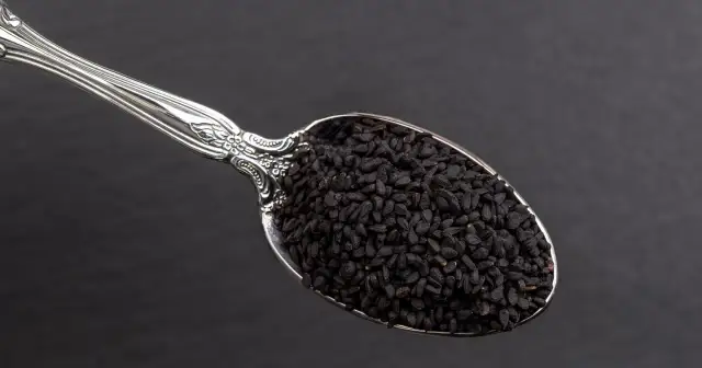 Czarnuszka dla ptaków: Czy to dobry pomysł? Ekspert radzi!