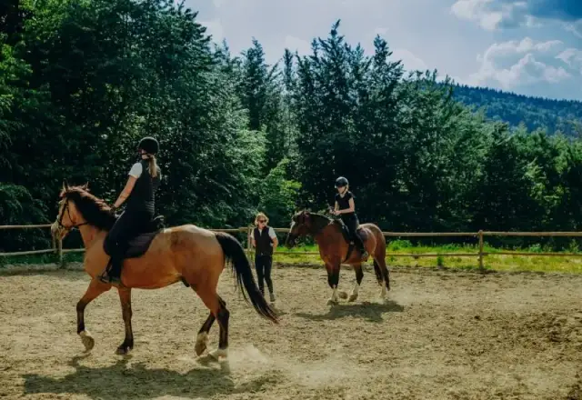 Hotele ze stadniną koni w Polsce - idealne miejsce na wypoczynek