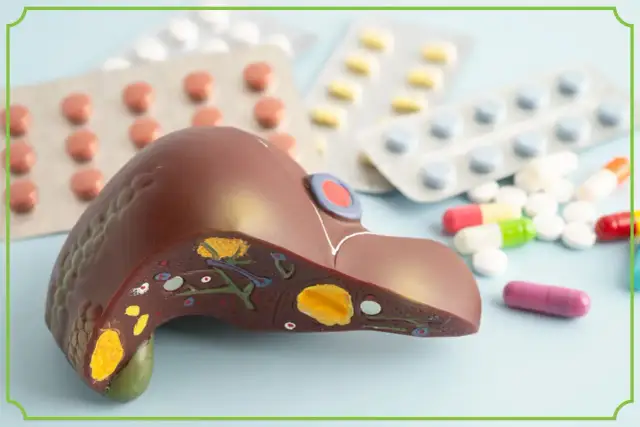 Suplementy szkodzą wątrobie? Poznaj ryzyko i zasady bezpieczeństwa