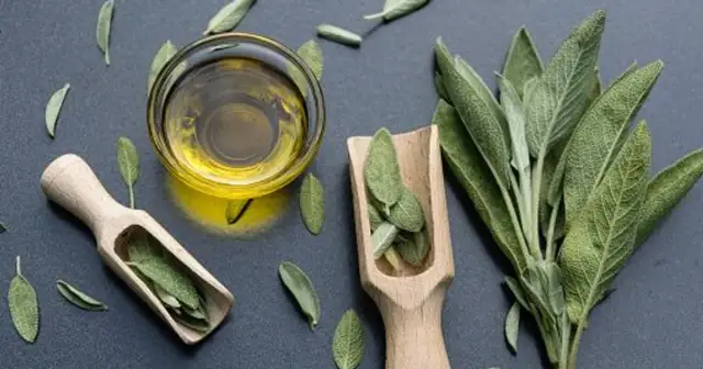 Jak zrobić napar z szałwii, aby cieszyć się jego zdrowotnymi właściwościami