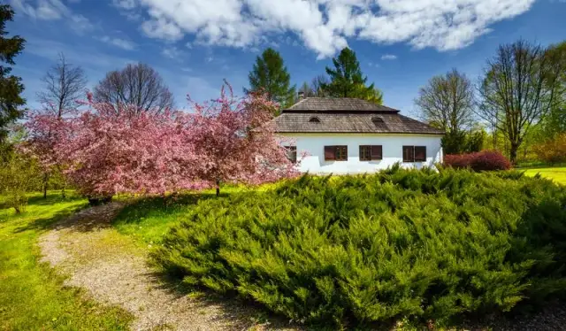 Najciekawsze skanseny w Małopolsce - odkryj ich unikalne skarby