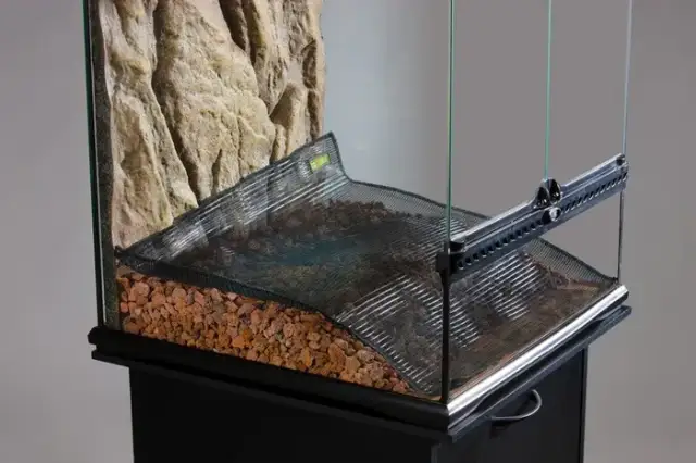 Filtracja w terrarium - jak działa?