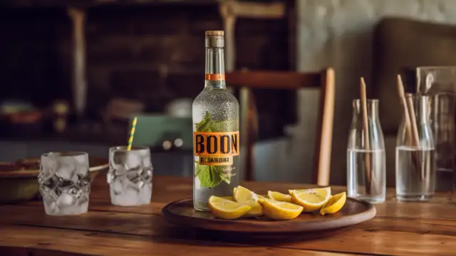 Opinie o Björn wódce - Wódka Bjorn opinie, Polonaise wódka