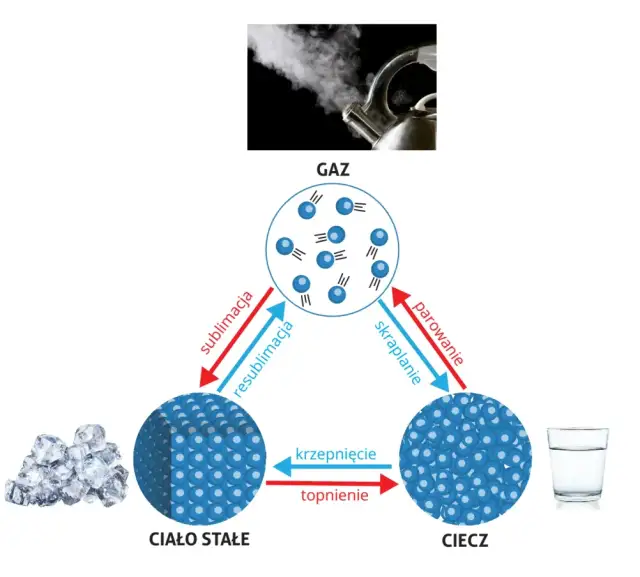 Przemiany fazowe wody: od lodu do pary wodnej - kompendium
