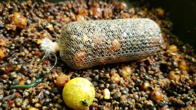 Jak przygotować rzepik na ryby i stworzyć skuteczną zanętę na karpie