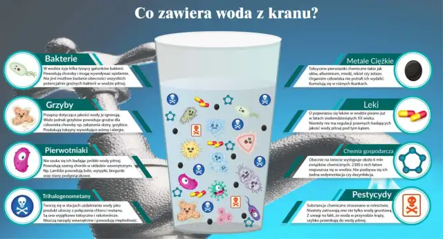 Co zawiera woda z kranu? Zaskakujące składniki i ich wpływ na zdrowie