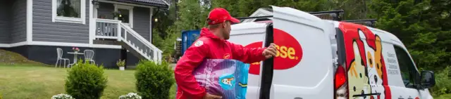 Dlaczego kotka sika poza kuwetą? Oto powody i rozwiązania problemu