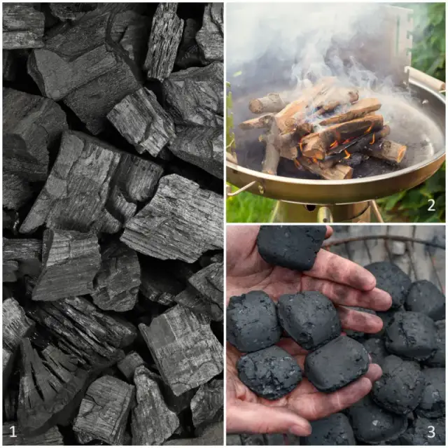 Brykiet czy węgiel drzewny – co lepsze do grilla i dlaczego warto wiedzieć