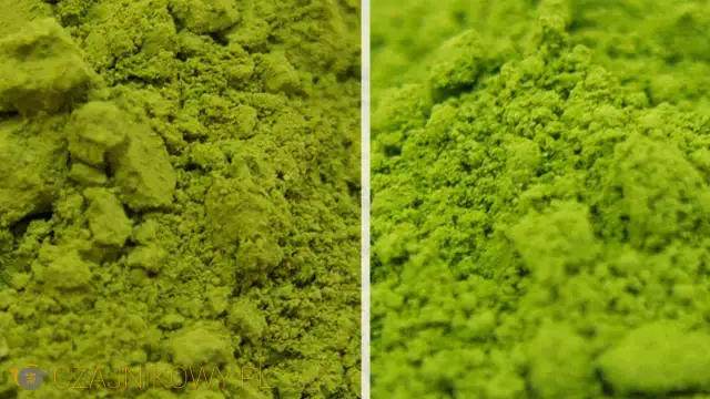 Jaka matcha najlepsza? Sprawdź, co wyróżnia najlepsze rodzaje