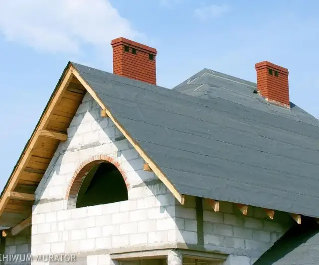 Papa wyglądająca jak dachówka – w jaki sposób dokonać najlepszego wyboru?