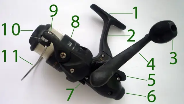 So funktioniert eine Angelrolle: Alles über ihre Komponenten und Nutzung