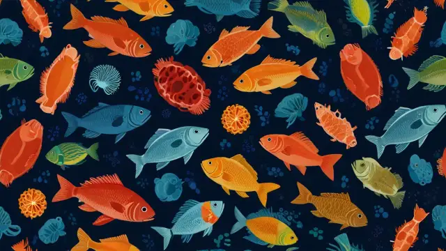 Jakie omega-3 są najlepsze? 5 cech wysokiej jakości suplementu