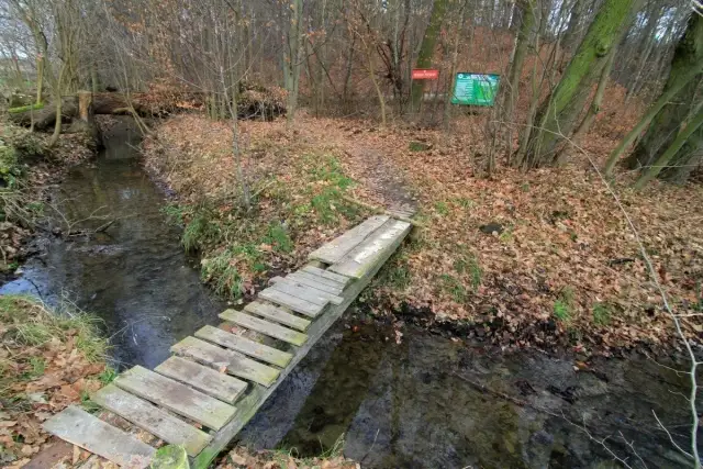 Rezerwaty przyrody na Śląsku - odkryj ich piękno i tajemnice