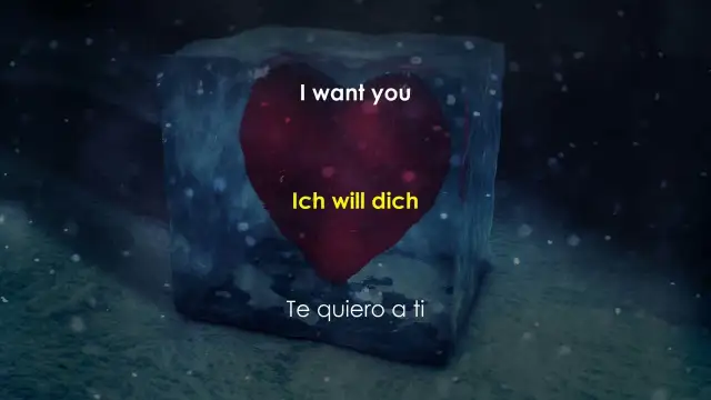 Wahnsinn Wolfgang Petry Songtext: Die bewegenden Lyrics und ihre Bedeutung