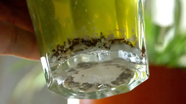 Jak wytepić muszki w kuchni i uniknąć ich powrotu na zawsze