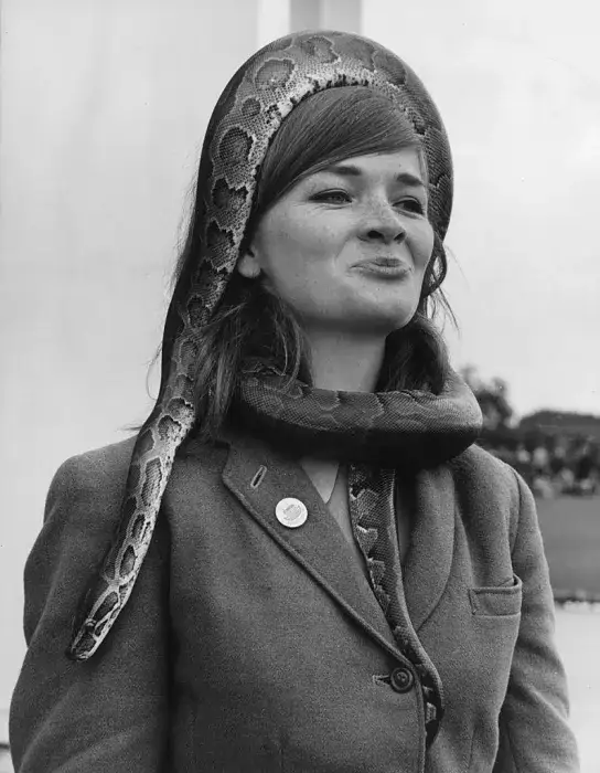 Co oznacza sen o wężu? Odkryj ukryte znaczenia i lęki