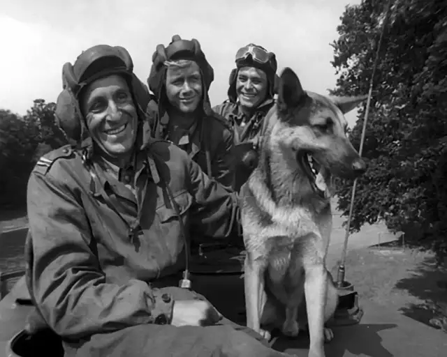 Czterej pancerni i pies ile odcinków? Odkryj zaskakujące fakty!