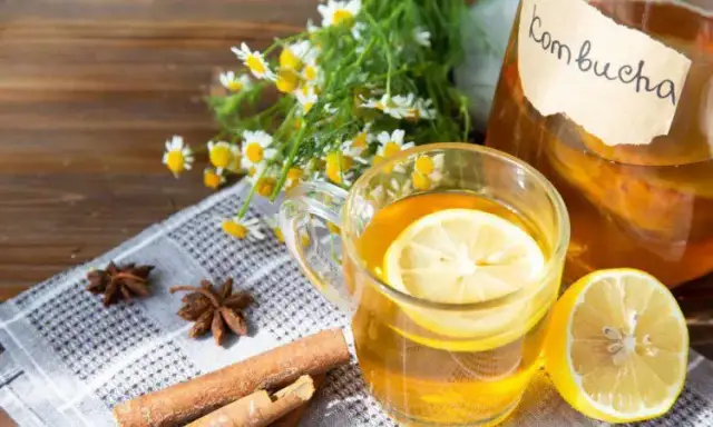 Kombucha co to? Odkryj skład, korzyści i ryzyko picia tego napoju