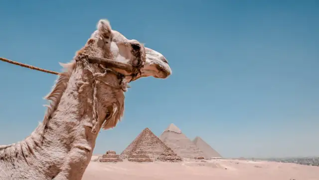 Kiedy najlepiej jechać do Egiptu? Odkryj idealne miesiące na podróż