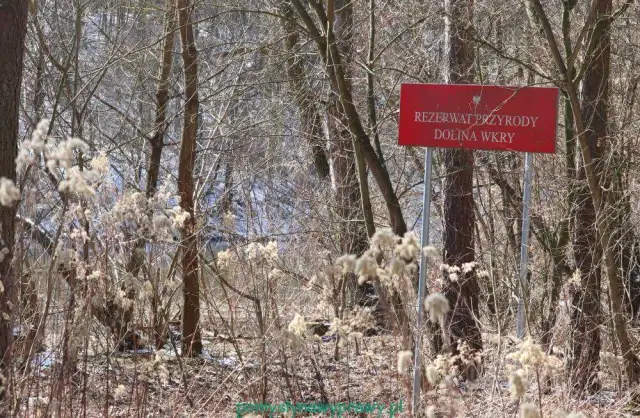 Rezerwat Przyrody Dolina Wkry – co warto wiedzieć przed wizytą i jak uniknąć błędów