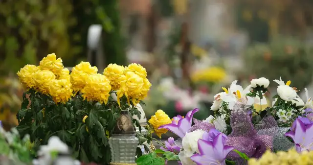 Jakie kwiaty na cmentarz latem - trwałe i piękne wybory dla grobów