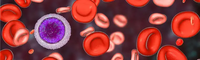 Co oznacza pdw w badaniu krwi i jakie ma znaczenie dla zdrowia?