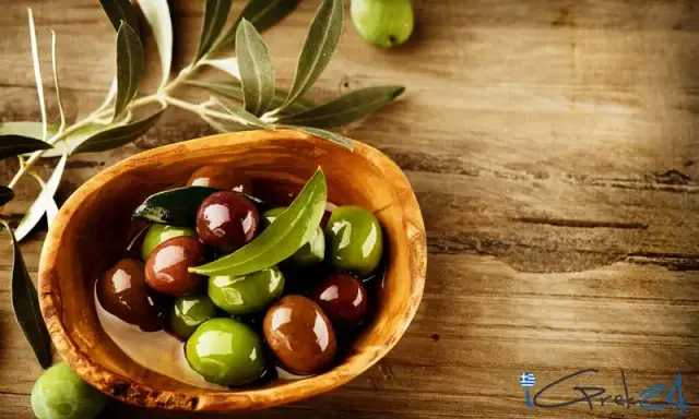 Jaka jest najlepsza oliwa z oliwek? Odkryj sekrety jakości i smaku