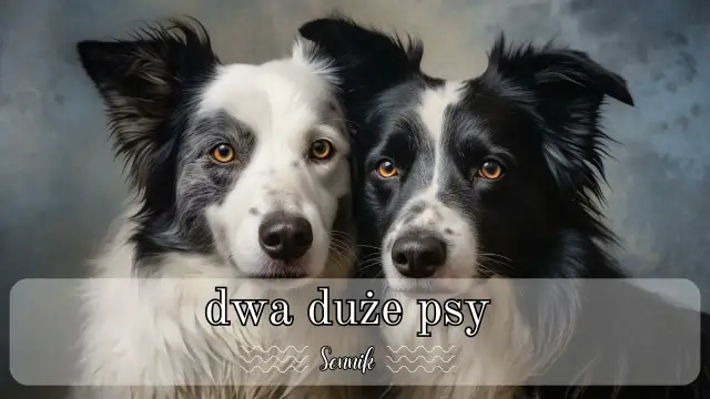 Znaczenie snu o dwóch dużych psach - poznaj ważne ostrzeżenia i symbole