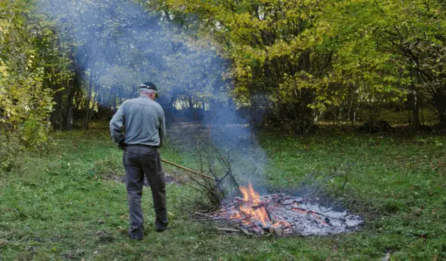 Czy można legalnie palić ognisko na działce? Przepisy i praktyczne porady