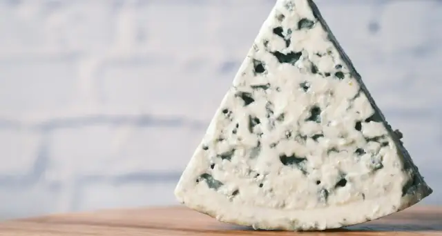 Czy psy mogą jeść ser pleśniowy? Dlaczego to niebezpieczne dla czworonogów