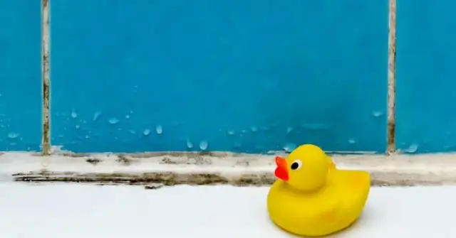 Jak pozbyć się pleśni z łazienki - skuteczne metody i porady