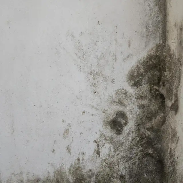 Skuteczne sposoby na to, jak wyczyścić tynk akrylowy bez uszkodzeń