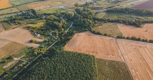 Ceny działek rolnych: Jakie są obecne stawki i co wpływa na ceny?